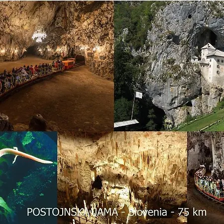 Place Rc Apartamento *