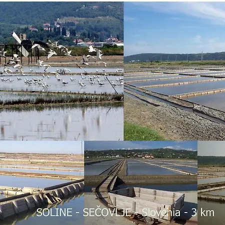 Place Rc Apartamento