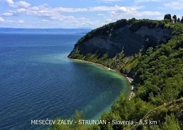 Place Rc ポルトローシュ