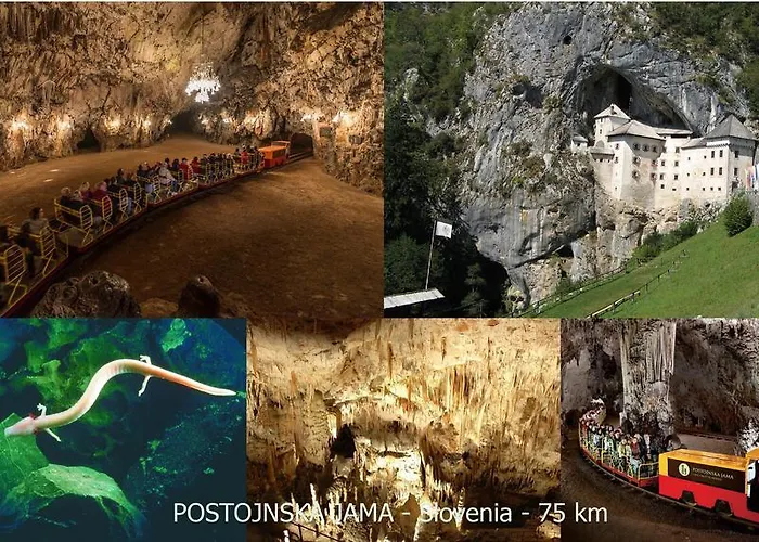 Place Rc アパート *